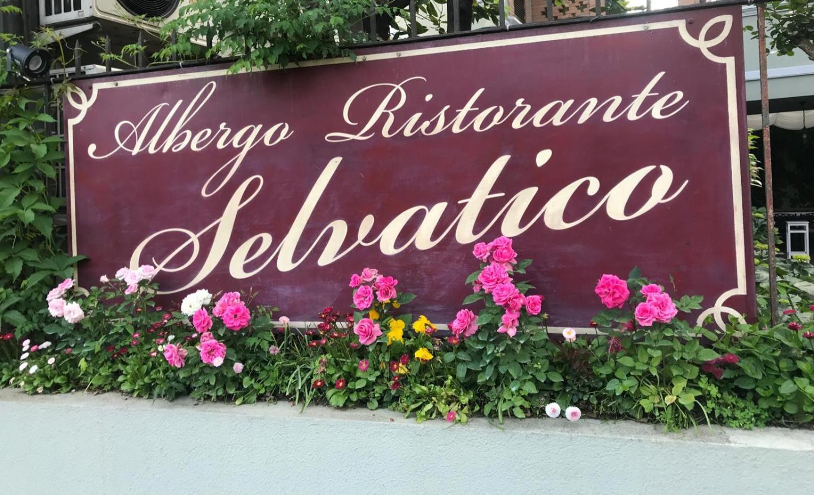 Albergo & Ristorante Selvatico Rivanazzano Terme Exterior foto